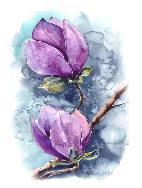 Illustration watercolor flowers of pink magnolia on a blue background — Stock Photo, Image