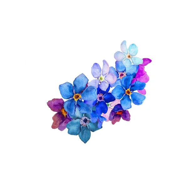 Akvarell illusztráció. akvarell virágok kék felejts-el-nem-fehér háttérrel. botanika és virág, tavaszi színe.kész sablon képeslaphoz. — Stock Fotó