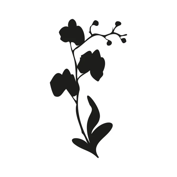 Векторна ілюстрація орхідей, чорно-білого логотипу ізольовано на білому тлі — стоковий вектор
