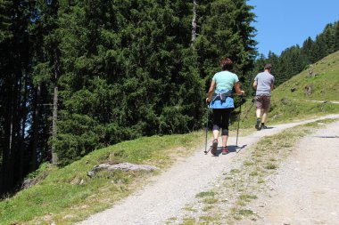 Avusturya dağlarında hiking