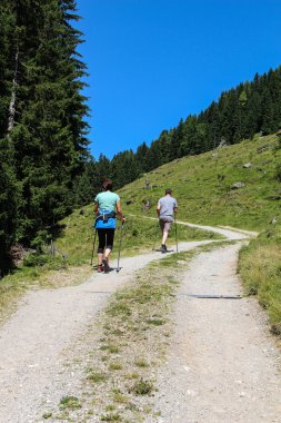 Avusturya dağlarında hiking