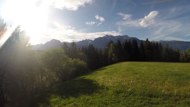 Bergpanorama met bomen — Stockvideo