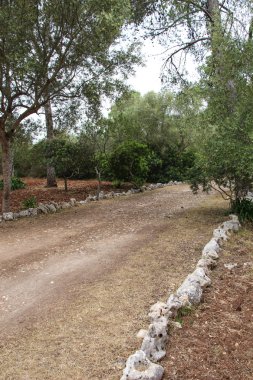 Park road, bahar zamanı