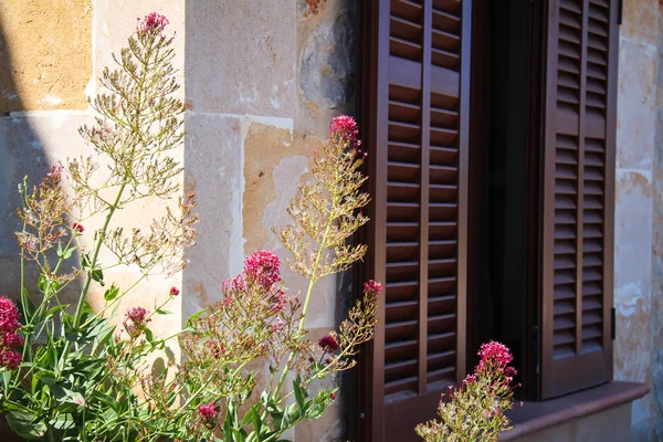 Mediterranean house door — Stock Photo, Image