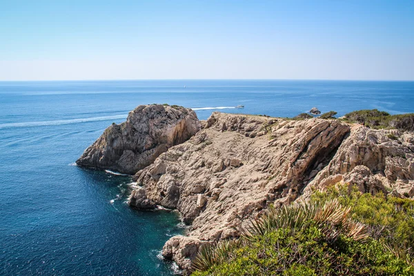 Palma De Mallorca - Espanha Natureza — Fotografia de Stock