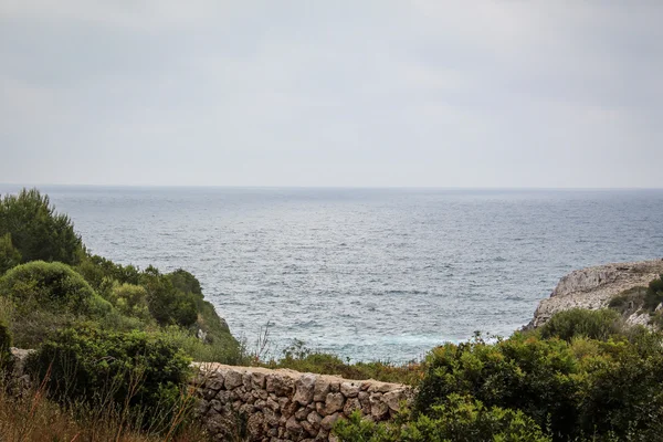 Costa do mar rochosa com arbustos — Fotografia de Stock