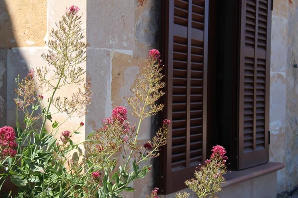 Mediterranean house door — Stock Photo, Image