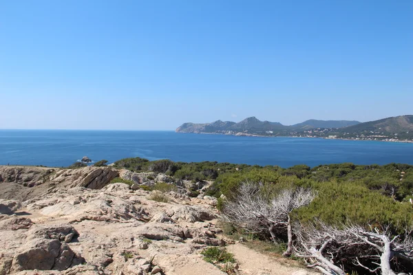 Palma De Mallorca - Espanha Natureza — Fotografia de Stock