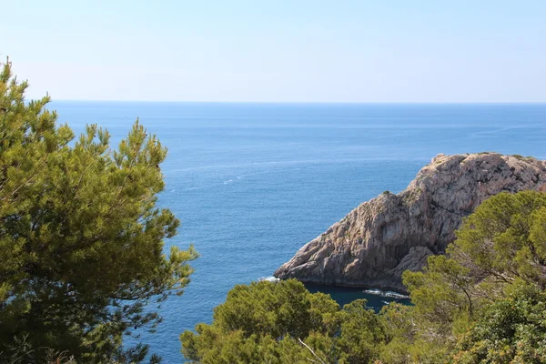 Palma De Mallorca - Espanha Natureza — Fotografia de Stock