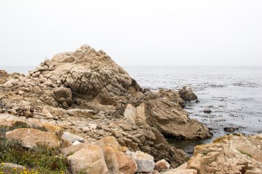 Kayalık deniz kıyısında çim ile
