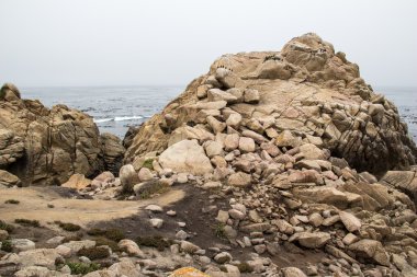 Kayalık deniz kıyısında çim ile