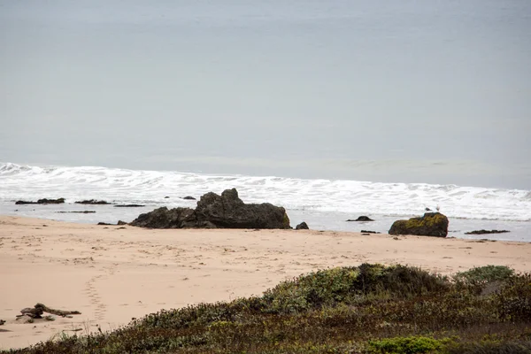 Bord de mer sablonneux avec pierres et herbe — Photo