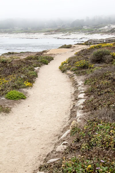 Route sablonneuse au bord de la mer — Photo