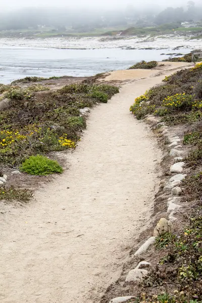 Camino de arena en la orilla del mar — Foto de Stock