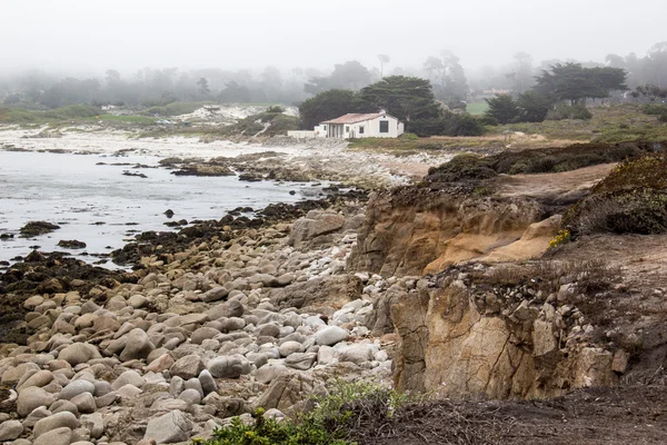 Rocky sea shore with grass — Stock Photo, Image