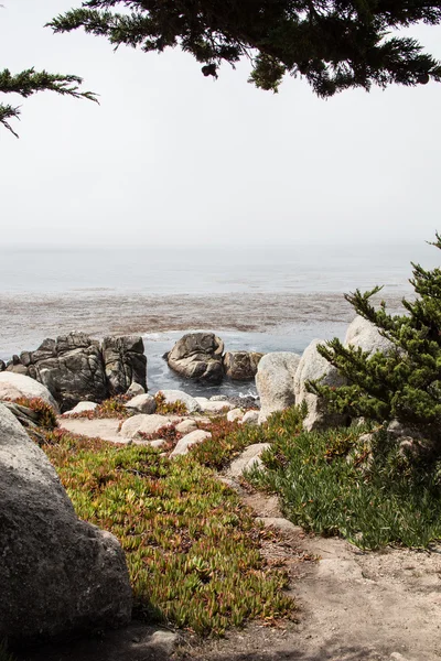 Sendero en la orilla rocosa del mar — Foto de Stock