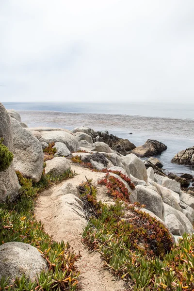 Trail on rocky sea shore — Stock Photo, Image