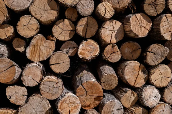 Bir odun yığını, kütüklerin sonu. Kahverengi meşe ağacından bir odun yığını, kabaca kesilmiş ağaçlar..