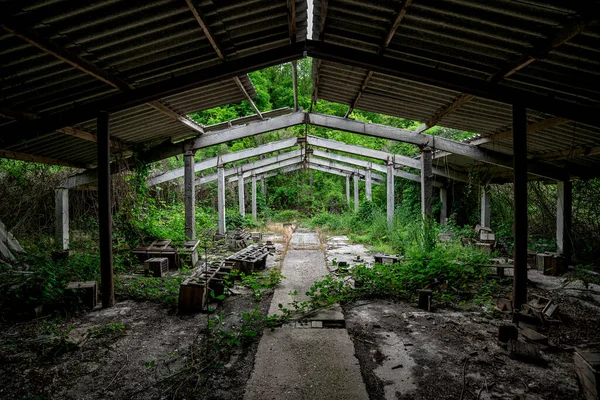 Interior Edificio Industrial Hormigón Cubierto Abandonado Con Techo Ruinas — Foto de Stock