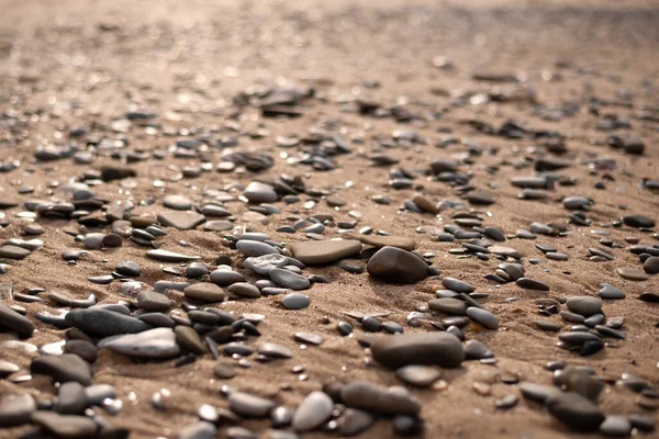 Vista Perto Dos Seixos Mar Uma Praia Areia Com Foco — Fotografia de Stock