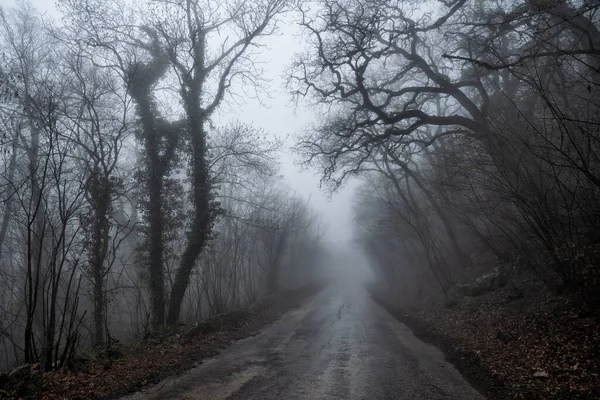 Old Dilapidated Asphalt Road Bare Foggy Forest — Stock Photo, Image
