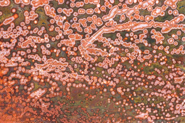 Fundo Pedra Natural Textura Tela Cheia Jaspe Vermelho Branco Manchado — Fotografia de Stock