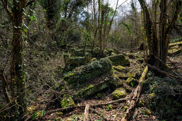 Tumbas Antiguo Cementerio Bosque — Foto de Stock