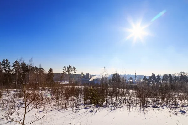 Weergave van de fabriek met rook vanaf de rand van de pijp van de bos-winter zon-dag — Stockfoto