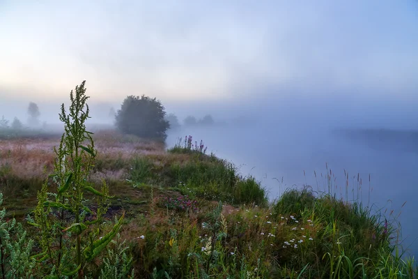 Sommermorgen auf dem Waldfluss. Morgennebel — Stockfoto