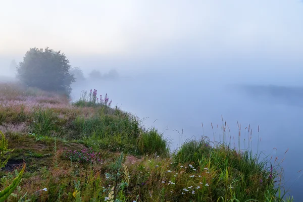 Sommermorgen auf dem Waldfluss. Morgennebel — Stockfoto