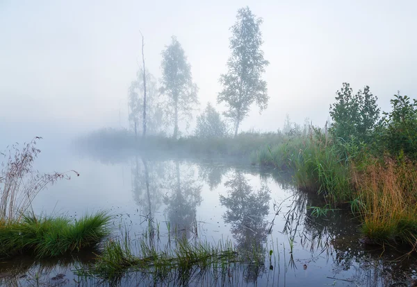 Morgennebel über dem Fluss mit Baumsilhouetten im Smog — Stockfoto