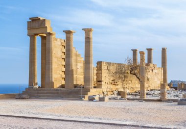 Antik Yunan akropolü. Sütunların ve duvarların önü. Ağacın yanında büyür.