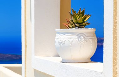 Yunan adası siklades mimarisi Caldera Akdeniz Santorini manzarası üzerinde kaktüs ile