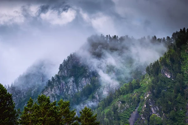 Cime Montuose Con Foresta Nella Nebbia Nuvole — Foto Stock