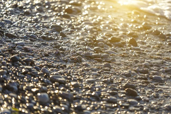 Diverse Pietre Ciottoli Levigati Arrotondati Sulla Spiaggia — Foto Stock