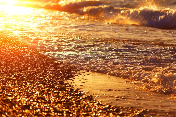 Close Sea Pebble Sunset Shallow Depth Field Beautiful Bokeh Toned — Fotografia de Stock