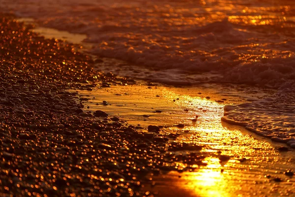 Onde Marine Lavano Spiaggia Ghiaia Tramonto Belle Macchie Luce Solare — Foto Stock