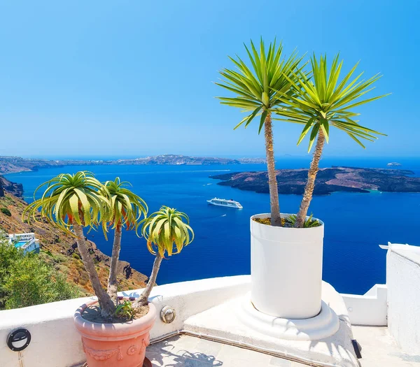 Palme Auf Der Terrasse Mit Meerblick Dorf Firostefani Insel Santorin — Stockfoto