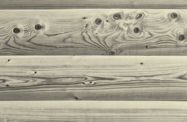 Eski, boyanmamış çitler. Çekiç gibi paslanmış çiviler.