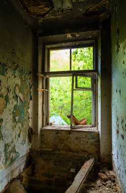 çöp dolu terk edilmiş bir binanın penceresi