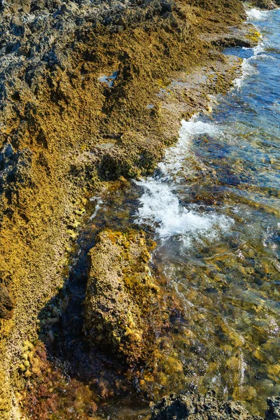Natürliche Textur Der Schwammigen Vulkanischen Strandfelsen Mit Wellen Und Grün — Stockfoto