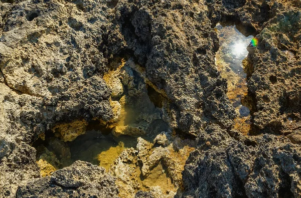 Лужа Морской Воды Среди Губчатых Остатков Вулканической Породы Природная Текстура — стоковое фото
