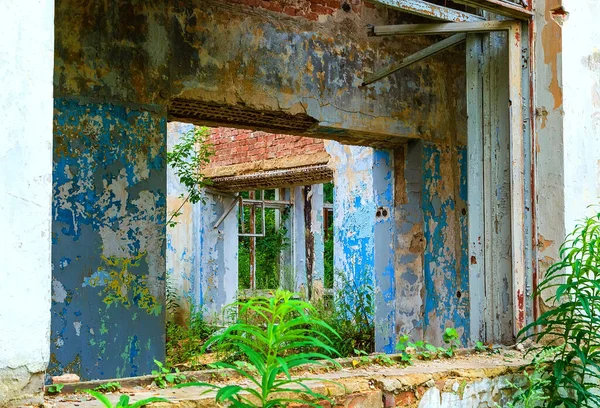 Ruines Ancien Bâtiment Abandonné Recouvert Végétation — Photo
