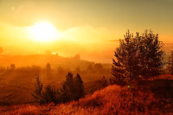 Fantastisk Dimmig Flod Med Färskt Grönt Gräs Solljuset Solen Strålar — Stockfoto