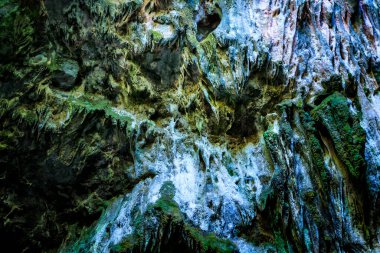 Mağaranın girişindeki duvarların dokusunda sarkıtlar ve yeşil bitki örtüsü var.