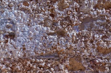 Klasik doğal duvar süngeri dokusu.