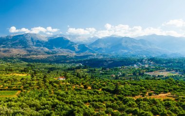 Peyzaj ve Güney Girit 'teki Olive Groves. Tarım ve zeytin ağaçları adadaki resmi belirler. Arka planda Ida dağları ve Psiloritis Girit 'in en yüksek dağı..