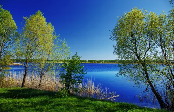 Russian nature landscape with river hot summer day — Stock Photo, Image