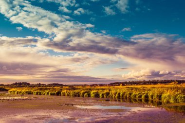 Göl ile Tina arka plan alanlarının yaz gününde