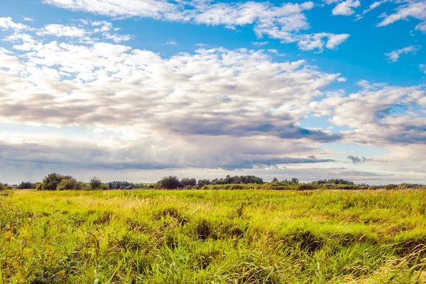 Campo com árvores em meio a belas nuvens de verão — Fotografia de Stock